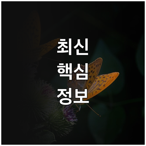 황학동 가구 거리에서 득템하는 중고 가구 고르는 법