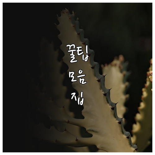 구매를 부르는 중고 가구 사진 촬영 노하우