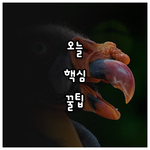 이사 후 가구 관리법: 새 가구처럼 오래 쓰는 비법