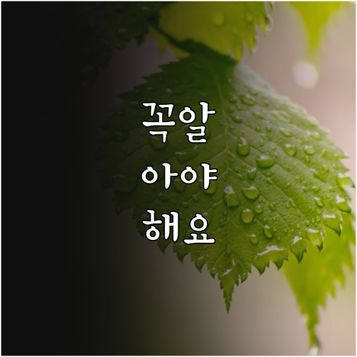 중고 가구 리셀 성공 전략과 주의사항 완벽 분석