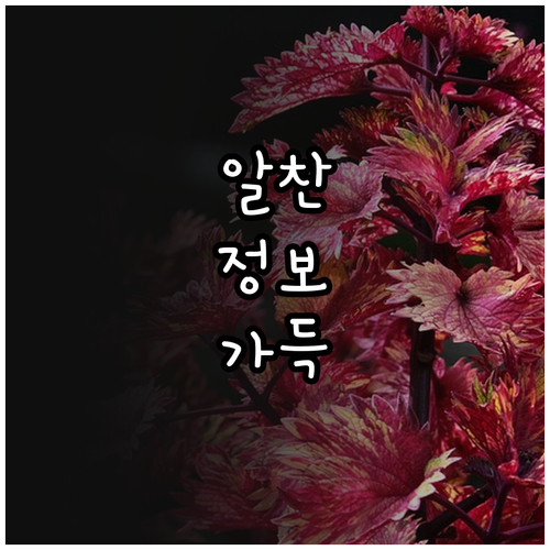 중고 가구 합리적인 거래 핵심 가이드라인 공개