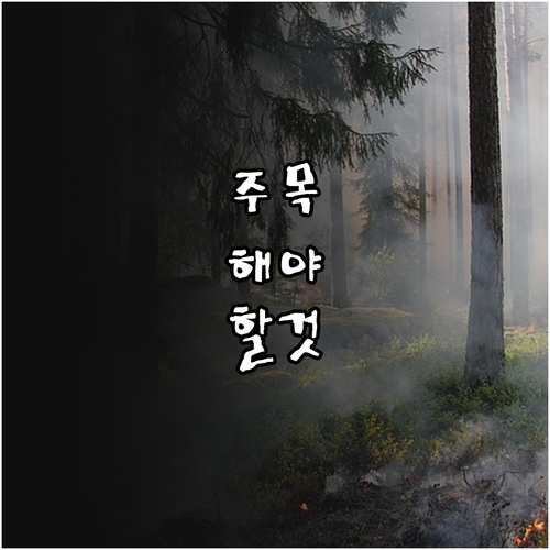 중고 가구 거래, 사기 예방 및 성공 노하우 대방출