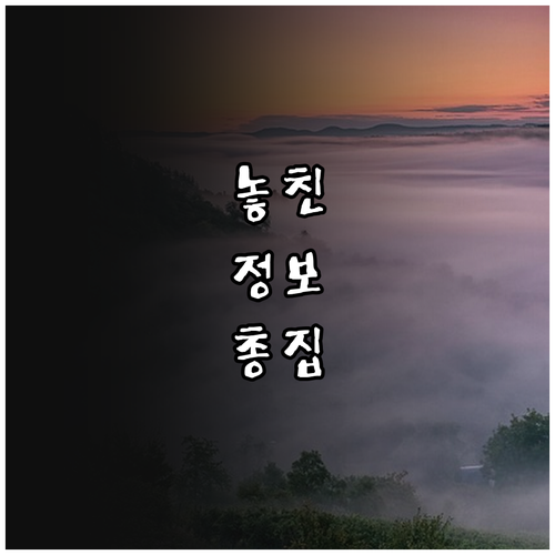 내게 딱 맞는 중고 가구 플랫폼 선택 가이드: 꿀팁 대방출