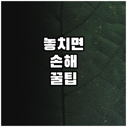 중고 가구 구매 FAQ 궁금증 해결 가이드