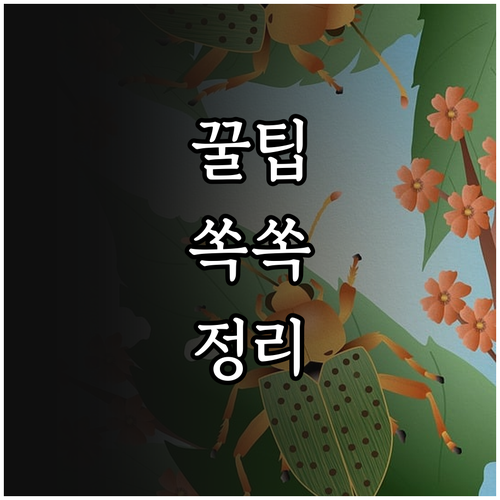 내 돈 아끼는 지방 중고 가구 직거래, 이것만 주의하세요