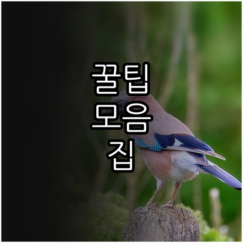 중고 가구 완벽 가이드 구매, 판매, 리폼 꿀팁 공개