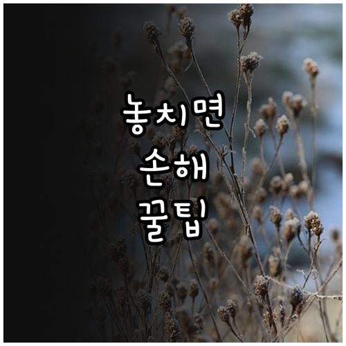 중고 가구 똑똑하게 사고 팔기 시세 확인부터 안전 거래까지