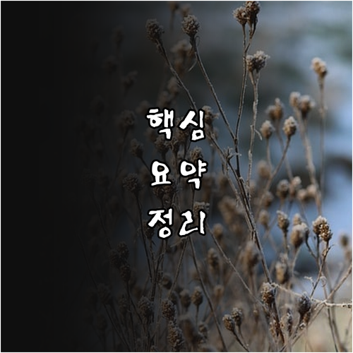 중고 가구 구매 시 꼭 확인해야 할 사항