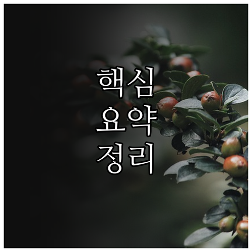 나만의 공간을 디자인하다: 1인 가구 중고 가구 선택 가이드