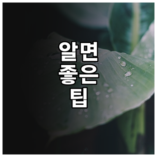 무료 나눔 성공 비법: 사진 촬영부터 거래 팁까지!