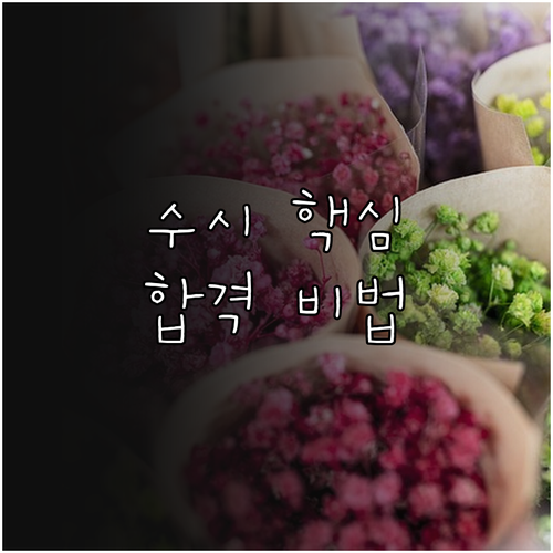 2026 청주대학교 수시 모집 요강: 지원 자격, 일정, 합격 비법