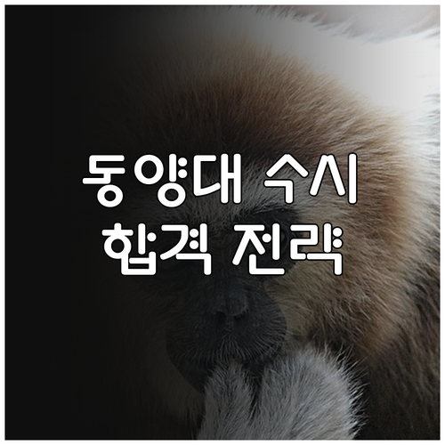 동양대학교 수시 성공 전략 핵심 정보