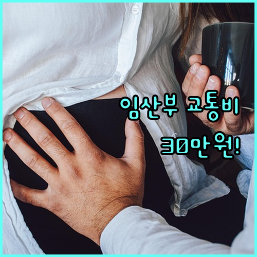 2025 천안시 임산부 교통비 30만원 지원, 신청 자격과 방법 완벽 정리