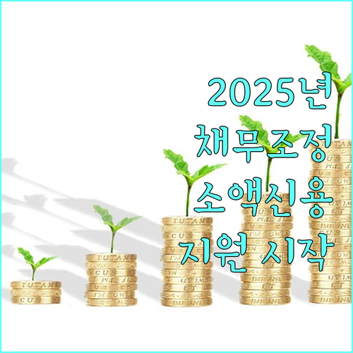 2025년, 채무조정 성실상환자 대상 소액신용카드 지원