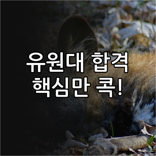 유원대학교 2026학년도 수시 합격 전략: 핵심 정보 총정리