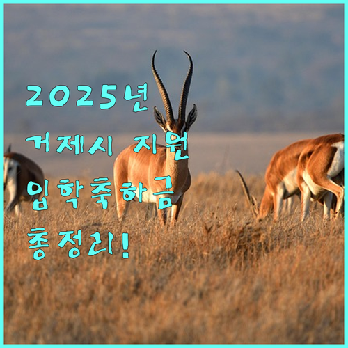 2025 거제시 유치원/초등학생 입학축하금 지원 정보: 대상, 금액, 신청 방법 완벽 정리