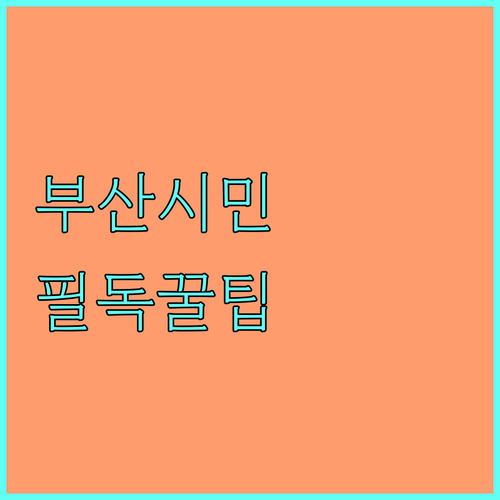 2025 부산 시티투어버스 할인 받는 법 부산시민, 다자녀 가족 필독