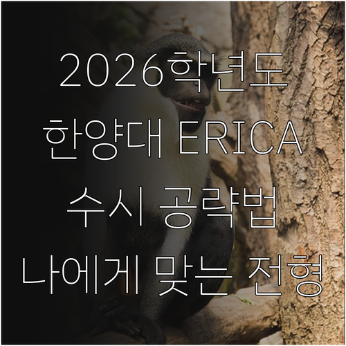 2026 한양대 ERICA 수시: 나에게 맞는 전형은?