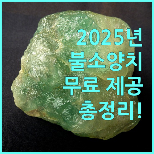 2025 서귀포시 불소양치용액 무료 제공 혜택 총정리