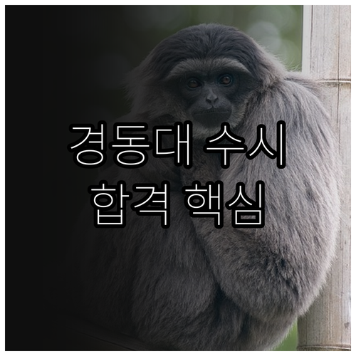 경동대 2026 수시 합격 핵심: 지원 자격, 전형 방법, FAQ 총정리