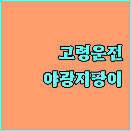 2025년 고령 운전자 교통안전교육: 신청하고 야광 지팡이 받으세요