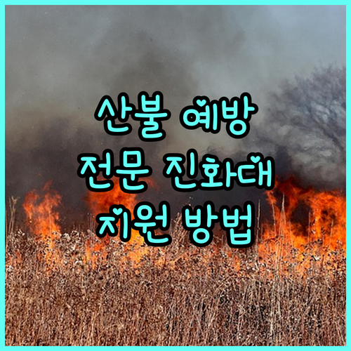2025년 산불로부터 우리 산림을 지켜주세요! 산불전문 예방진화대 지원 방법