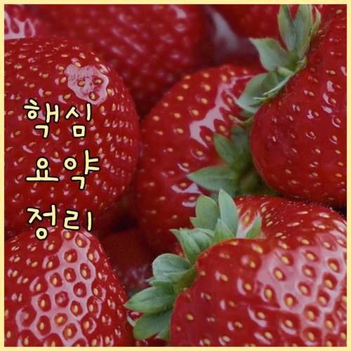 올바른 용촌동 생활 폐기물 처리 일반 음식물 재활용 대형