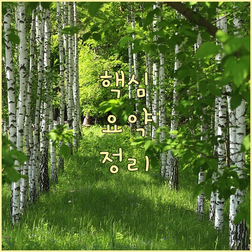 소멸시효 때문에 육아휴직급여 못 받을까 걱정된다면?