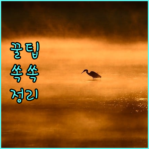 2025 강남구 교육비 지원 사업 총정리 대상, 내용, 신청 방법