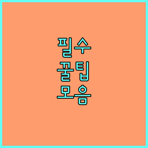 2025 동구 어르신 품위유지비 2만원 | 지역화폐 신청 절차 완벽 정리