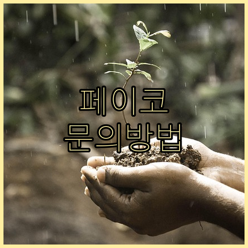 페이코 고객센터 문의 방법: 이메일, 전화, FAQ 완벽 가이드