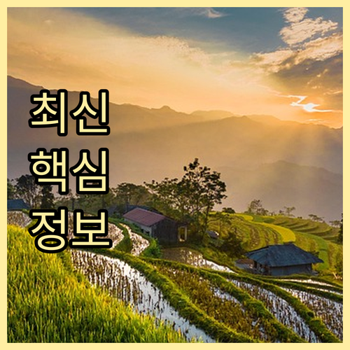 용계동 폐기물 배출 요일과 방법 확인