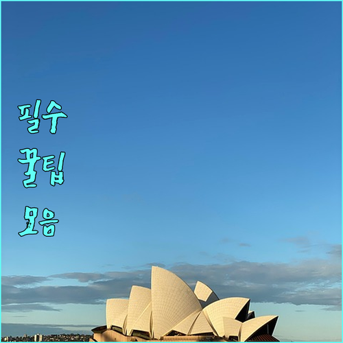 반려견 건강 지킴이: 2025 부산 중구 광견병 예방접종 지원 완벽 안내