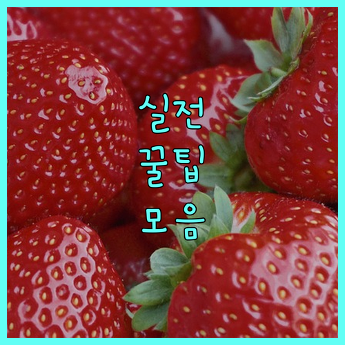 거제시 임산부 필독 2025 태아 기형아검사비 지원으로 부담 덜기