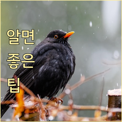 괴곡동 음식물 쓰레기 분리 배출 핵심 요령 공개
