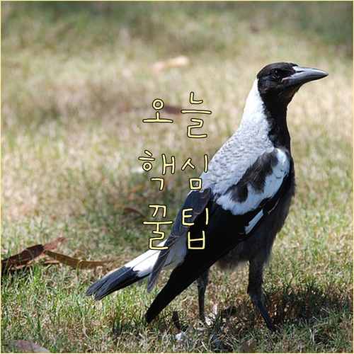 필수 서류부터 지급까지! 육아휴직급여 놓치지 마세요