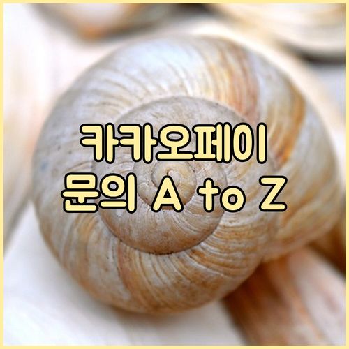 카카오페이 고객센터 문의 A to Z 자주 묻는 질문 완벽 해설