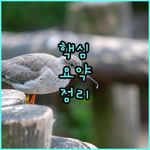 2025 부여군굿뜨래장학금 신청 서류 준비부터 합격까지