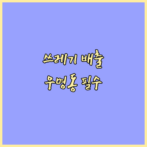 우리 동네 쓰레기 배출 요일 시간! 우명동 주민 필수 정보