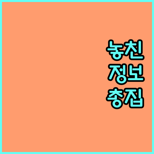 노원문화예술회관 2025 기획공연 할인 혜택 꼭 알아야 할 모든 것