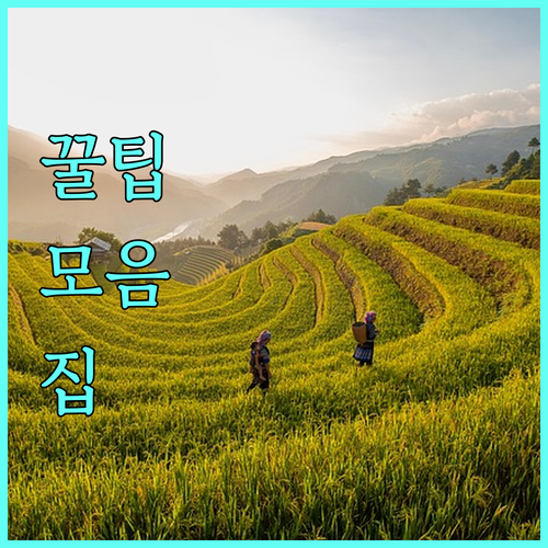 2025 고양시 가금농가 사육환경 개선 지원 사업 완벽 안내