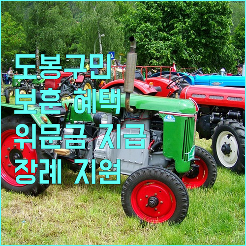 도봉구 2025 보훈 대상자 지원: 위문금, 장례 서비스 총정리