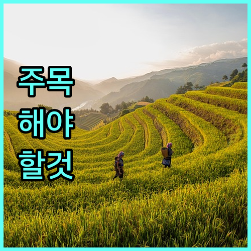 2025 밀양시 저소득층 지원 혜택 극대화 방법 상세 가이드