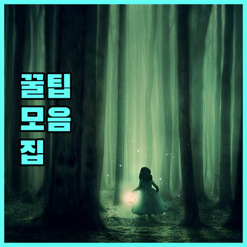 진천군 2025 효행장려금 읍면 주민센터 방문 신청 모든 것