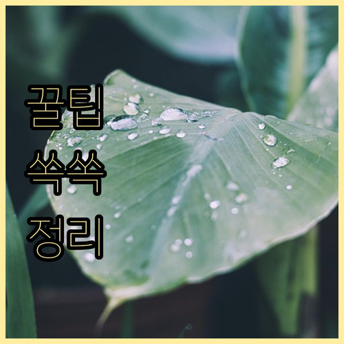 태안군민 위한 학자금 이자 지원 2025년 하반기 상세