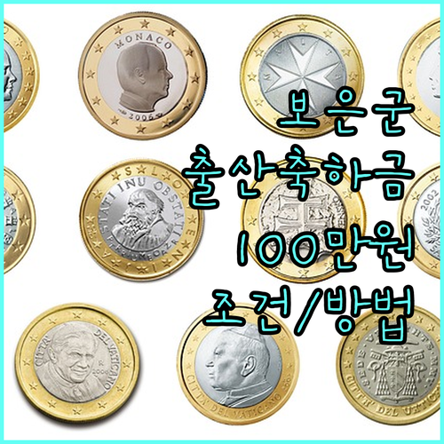보은군 2025년 출산축하금 100만원 지원 조건 및 신청 방법 알아보기