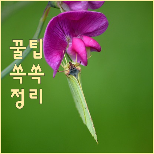 대형폐기물 고민 끝! 봉곡동 간편 신고 및 무상 수거