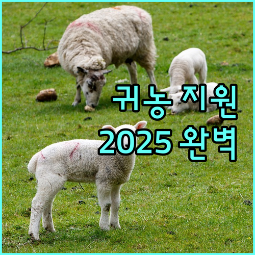 청송군 귀농 지원 사업 2025년 완벽 가이드 자격 조건, 혜택, 신청 방법 한눈에 보기