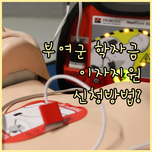 부여군 2025 학자금 이자지원 누가 어떻게 신청할까