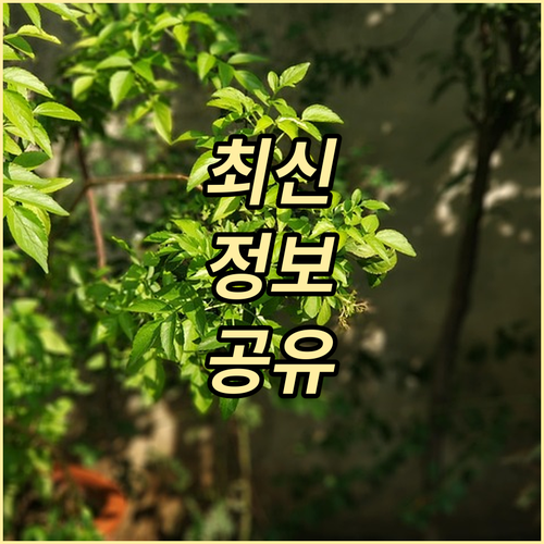 미국 여행 필수 ESTA 심사 & 보험, 안전 입국 준비 끝.